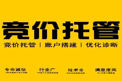 成功案例解析：SEO与SEM协同营销策略